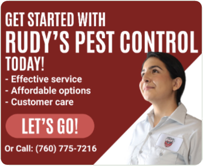 Get started with Rudy's Pest Control today! Effective service, affordable options, and great customer care. Call 760-775-7216 or click to get started.