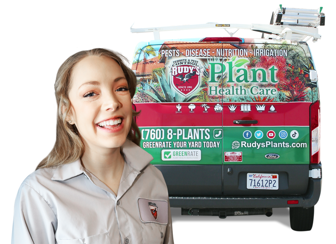 Employee standing in front of a rudy's greenrate van