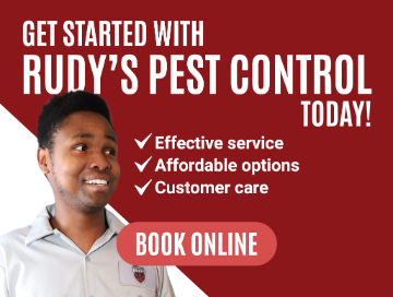 Get started with Rudy's Pest Control today! Effective service, affordable options, and great customer care. Call 760-775-7216 or click to get started.