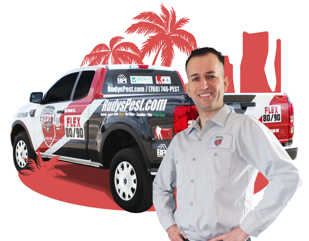 Beaumont Exterminator Rudy's Termite & Pest Control