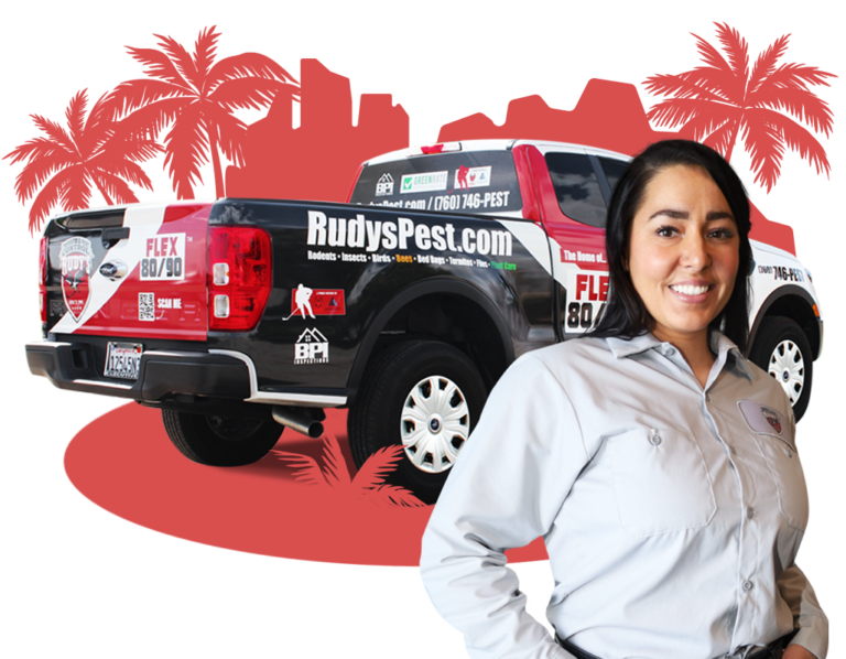 Cathedral City Exterminator Rudy's Termite & Pest Control