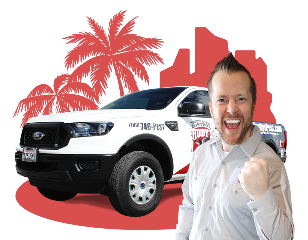 Palm Desert Exterminator Rudy S Termite Pest Control