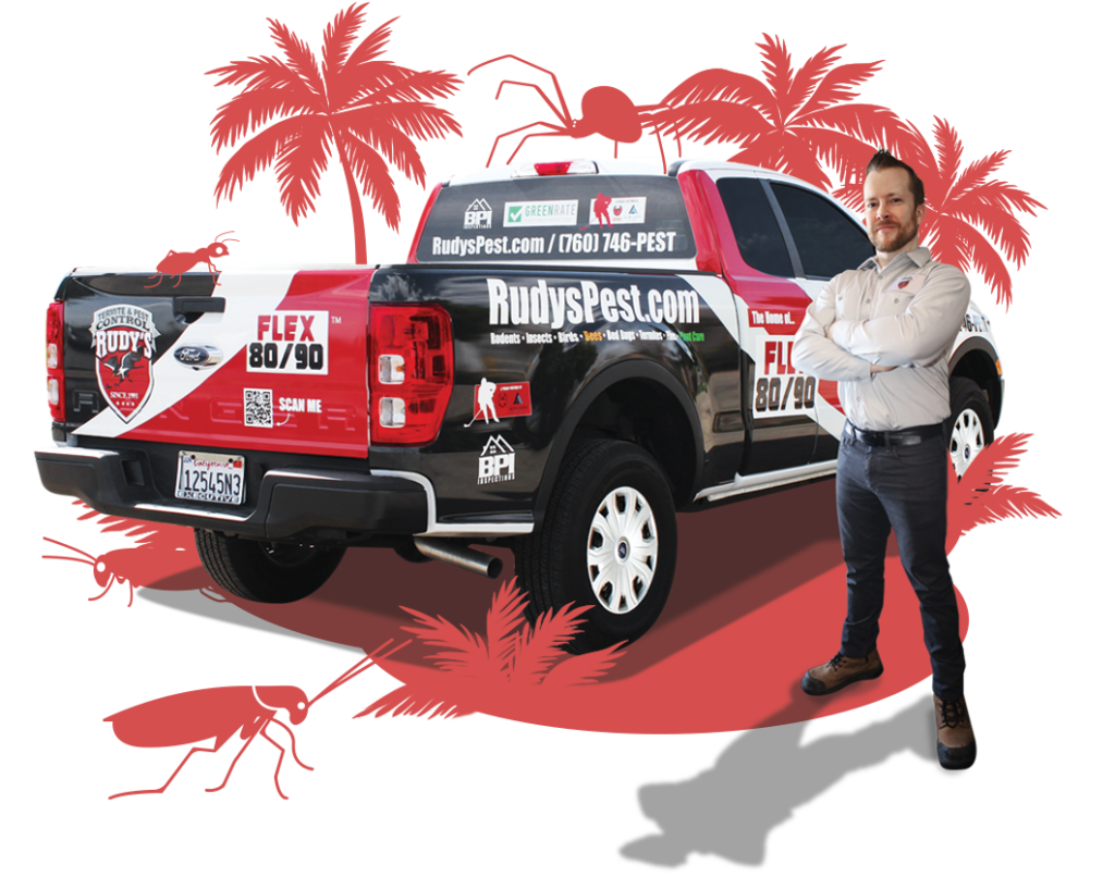 An employee stands in front of a Rudy's Pest Control vehicle, surrounded by cartoon silhouette palm trees. A cartoon silhouette ant, roach, cricket and spider hide around the scene.