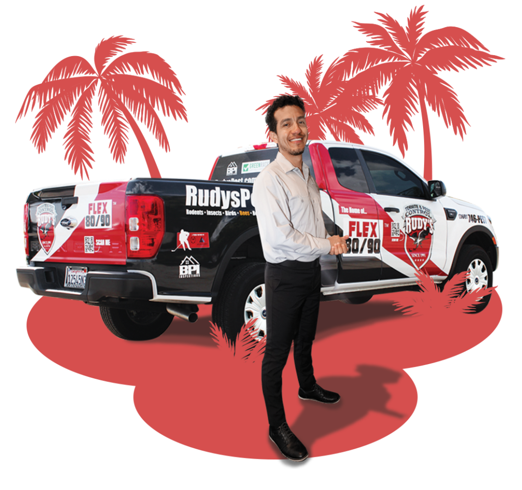 An employee stands in front of a Rudy's Pest Control vehicle, surrounded by cartoon silhouette palm trees.