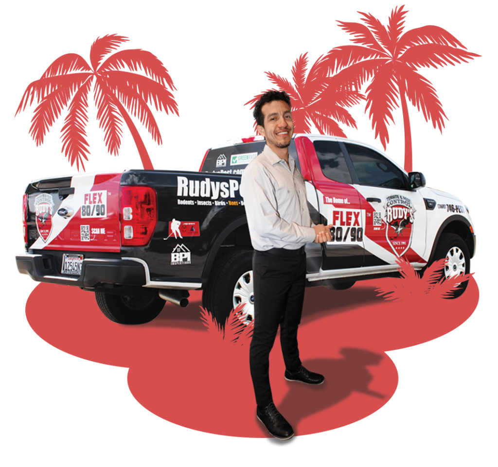 An employee stands in front of a Rudy's Pest Control vehicle, surrounded by cartoon silhouette palm trees.