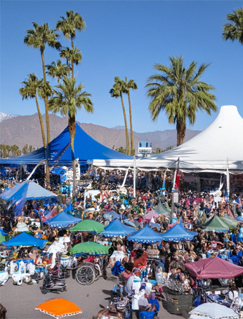 Events & Festivals