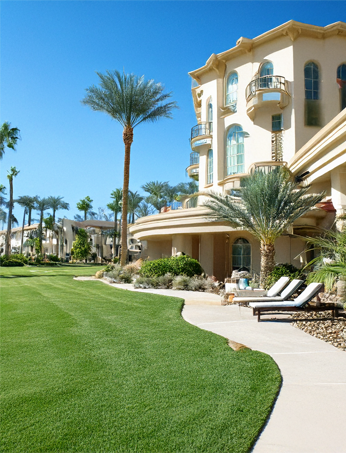 Hotels