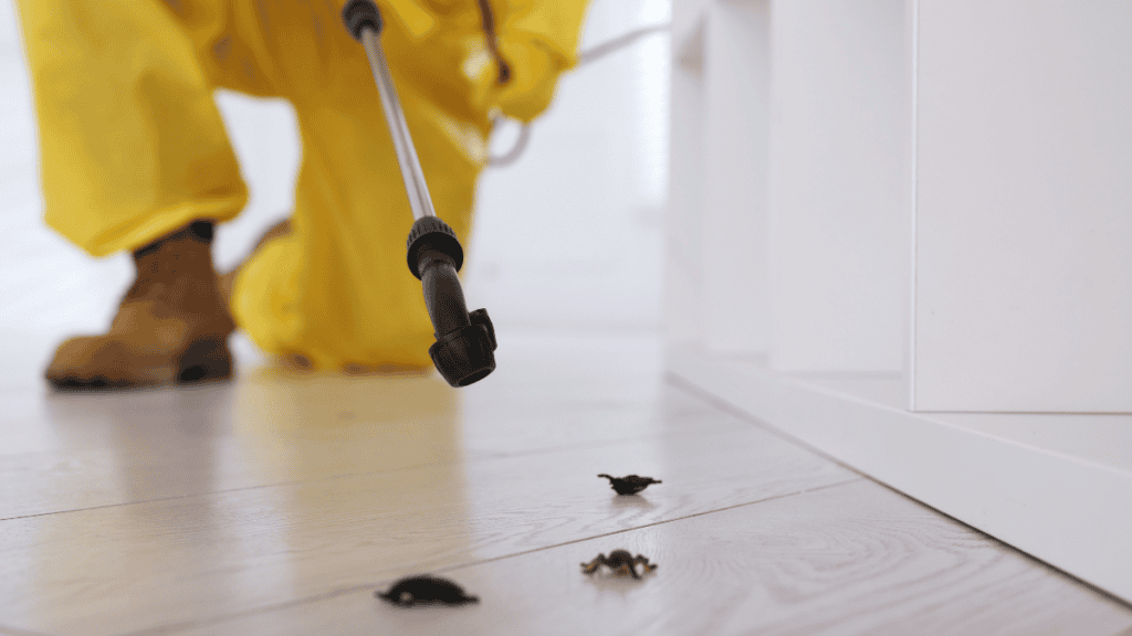 Coachella Valley Pest Calendar