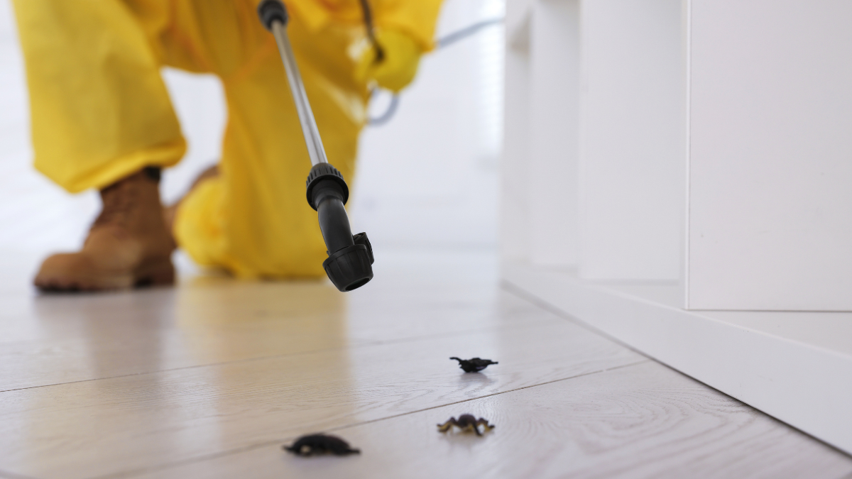 Coachella Valley Pest Calendar