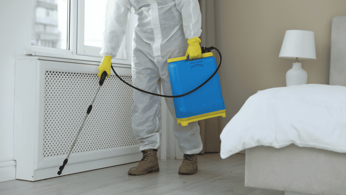 Termite Inspection